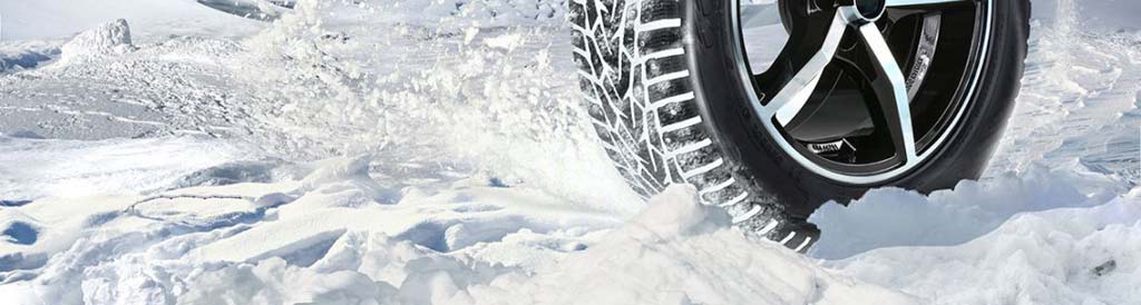 Зимние шины Maxxis Premitra Ice Nord NP5, фото Эйкос Зимние шины Maxxis Premitra Ice Nord NP5, фото Эйкос