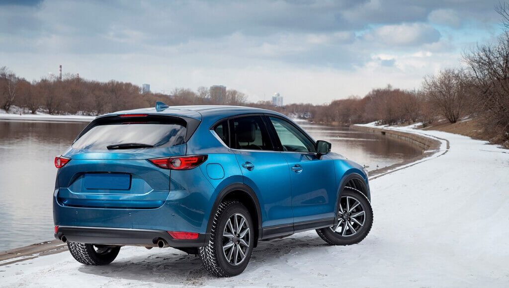 Cordiant Winter Drive 2, фото Эйкос